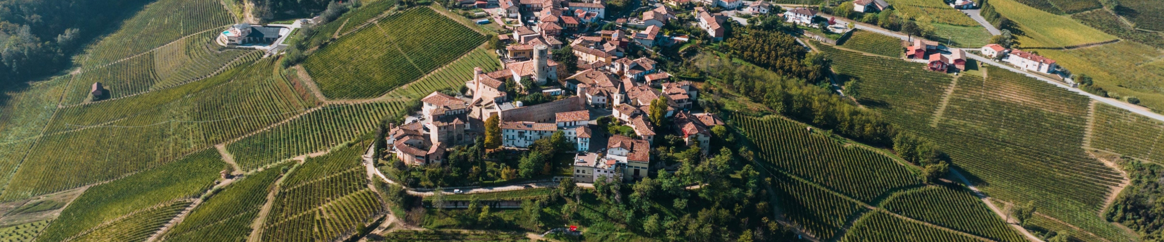 village in italy with vineyards surrounding