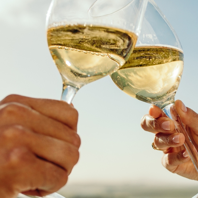 two people toasting glasses of white wine