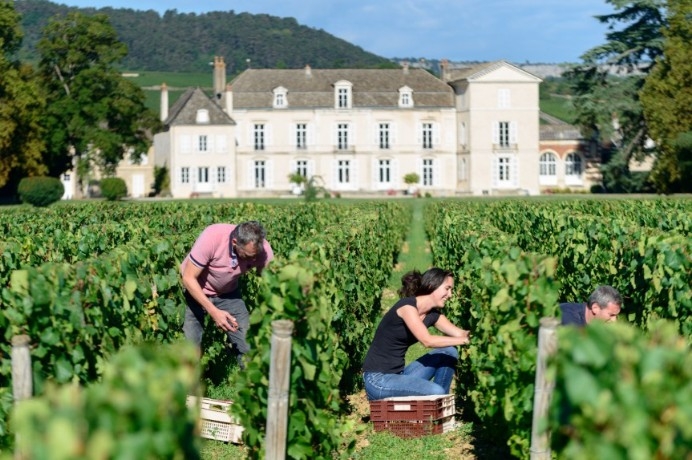 a group of people picking grapes in a winery with a large white chauteau in the background