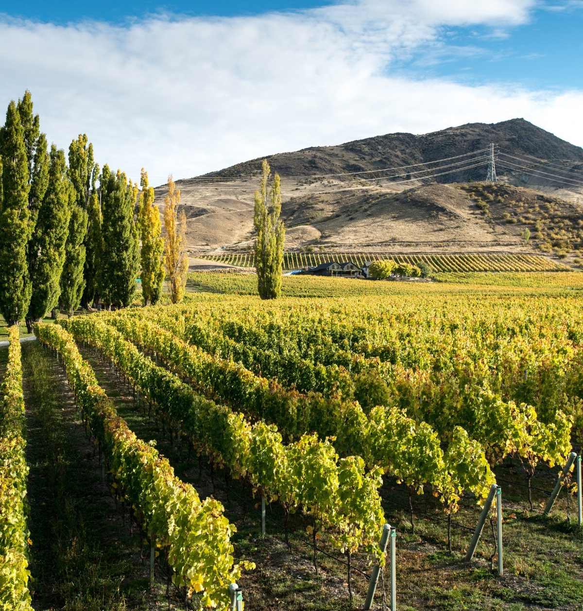 appellations
