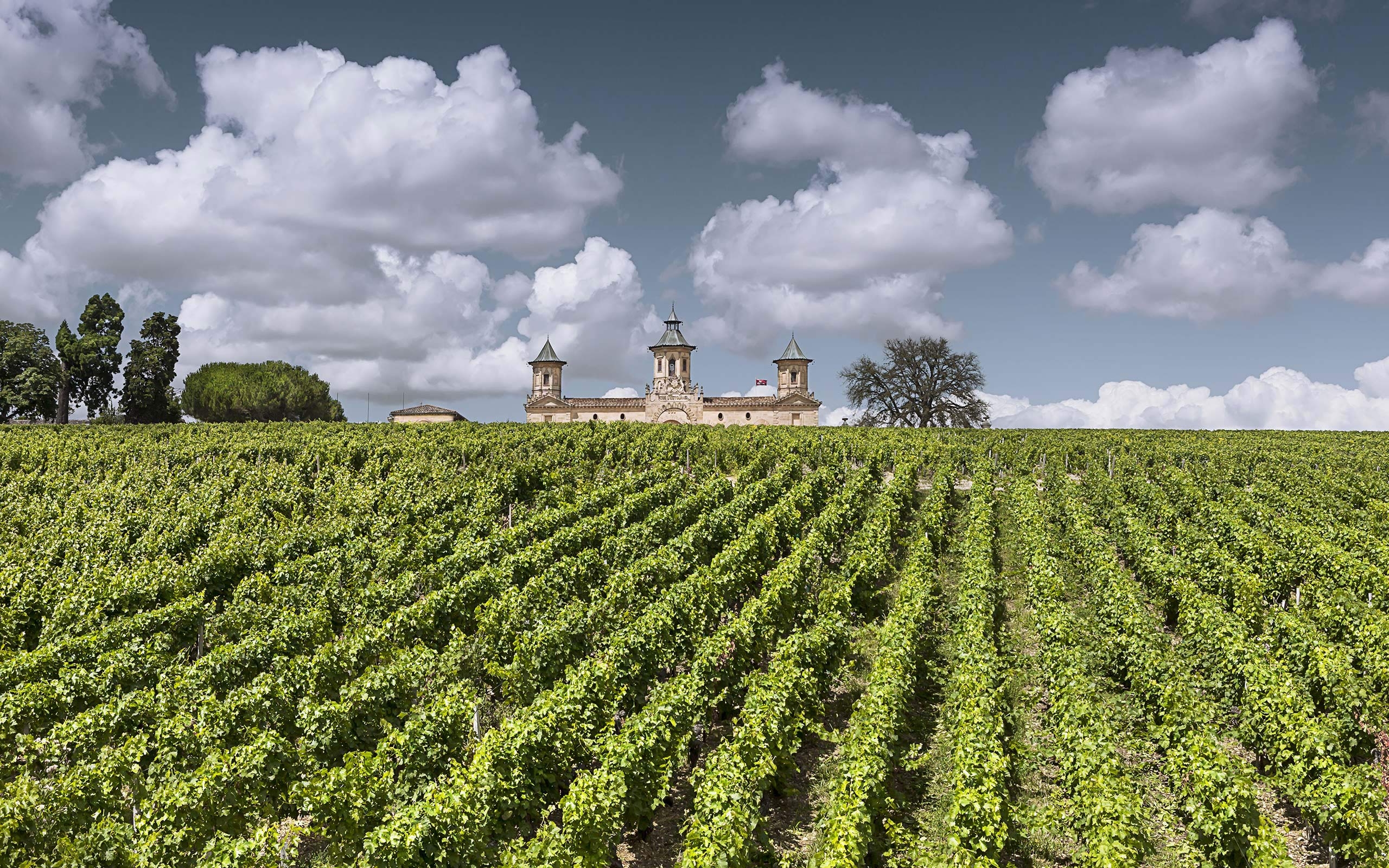 Château Cos d'Estournel