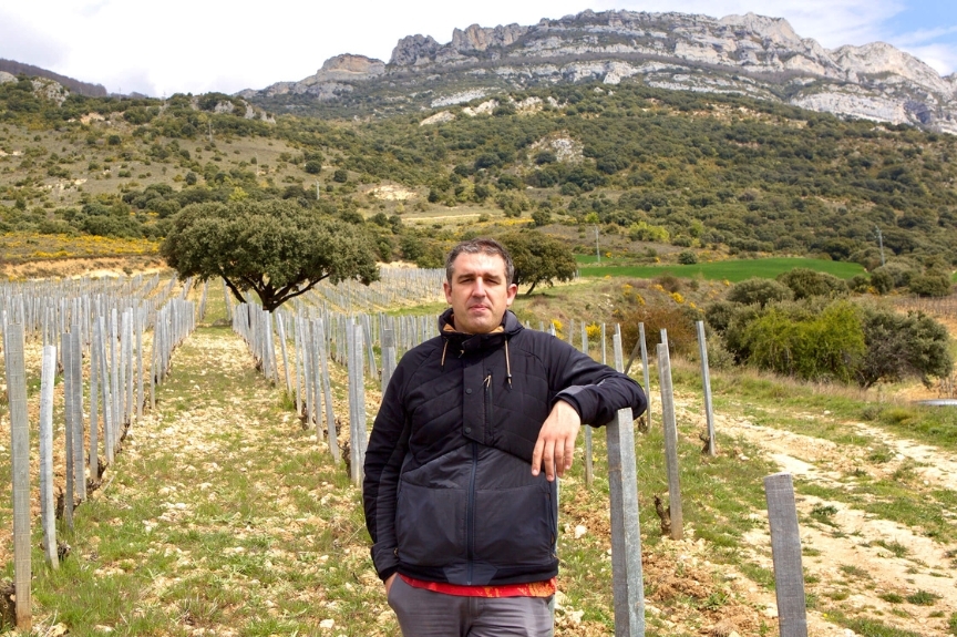 Bodegas Artuke