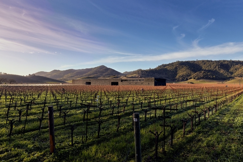 Dominus Estate