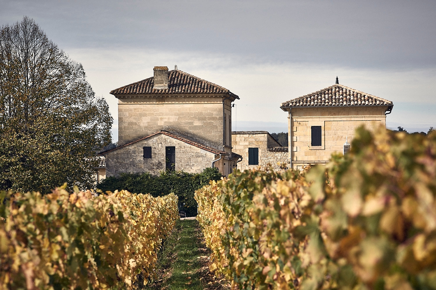 Château Larcis-Ducasse