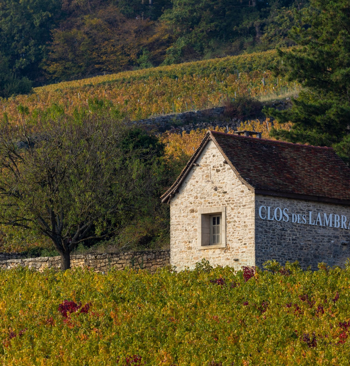 appellations