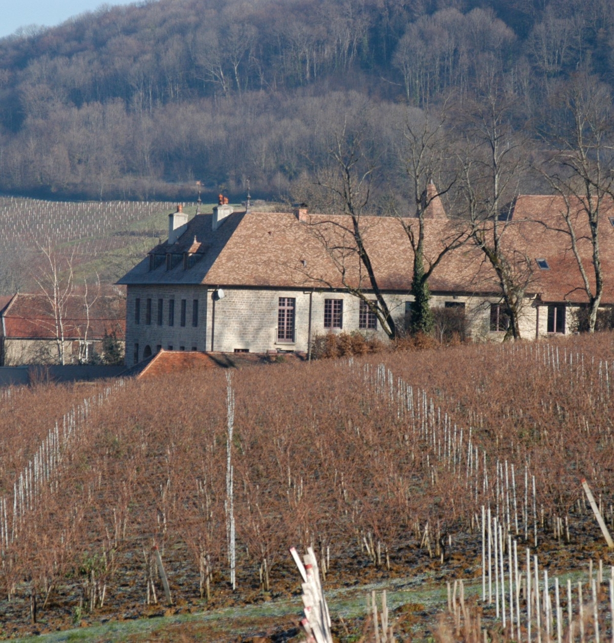 appellations