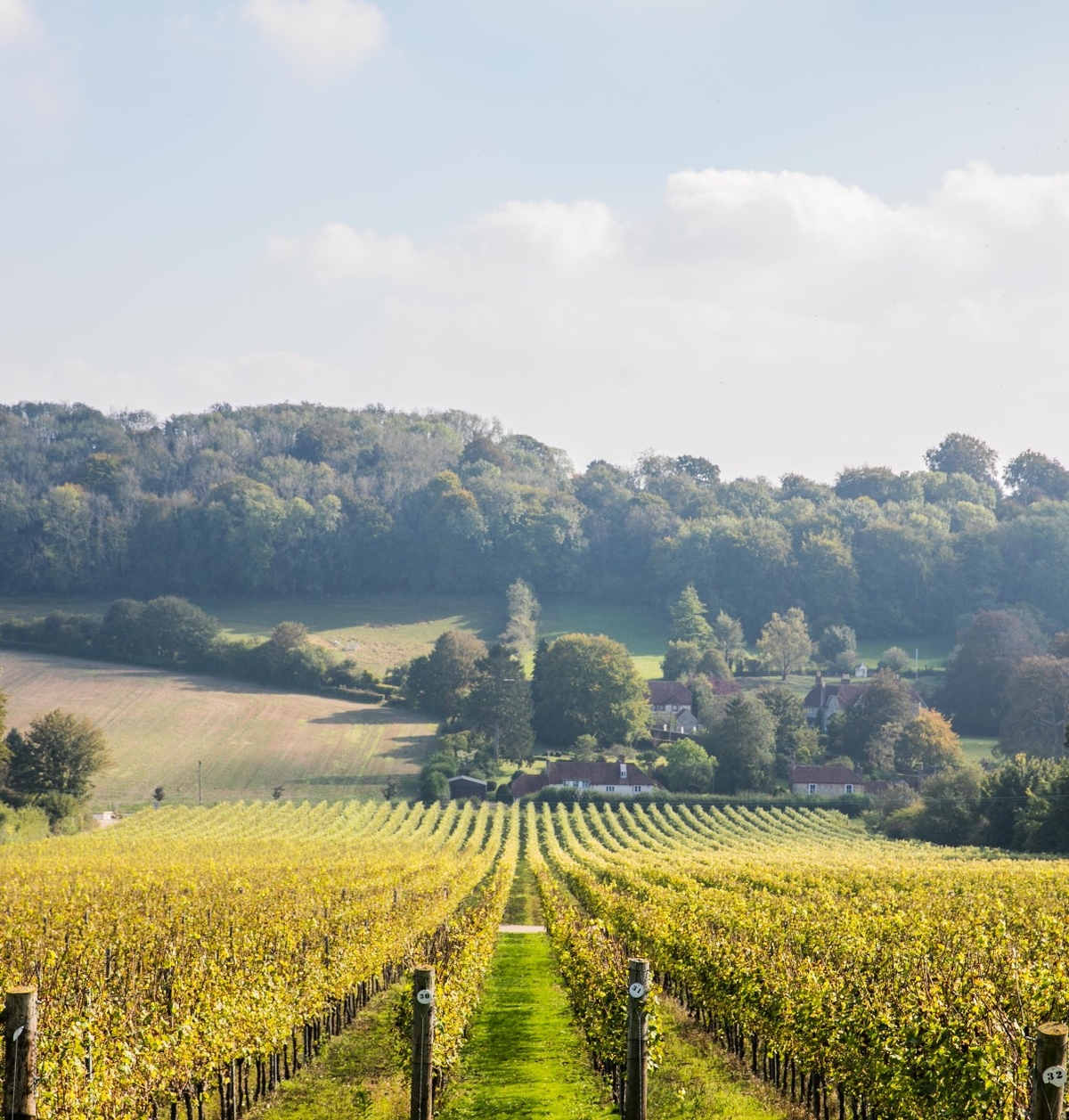 appellations