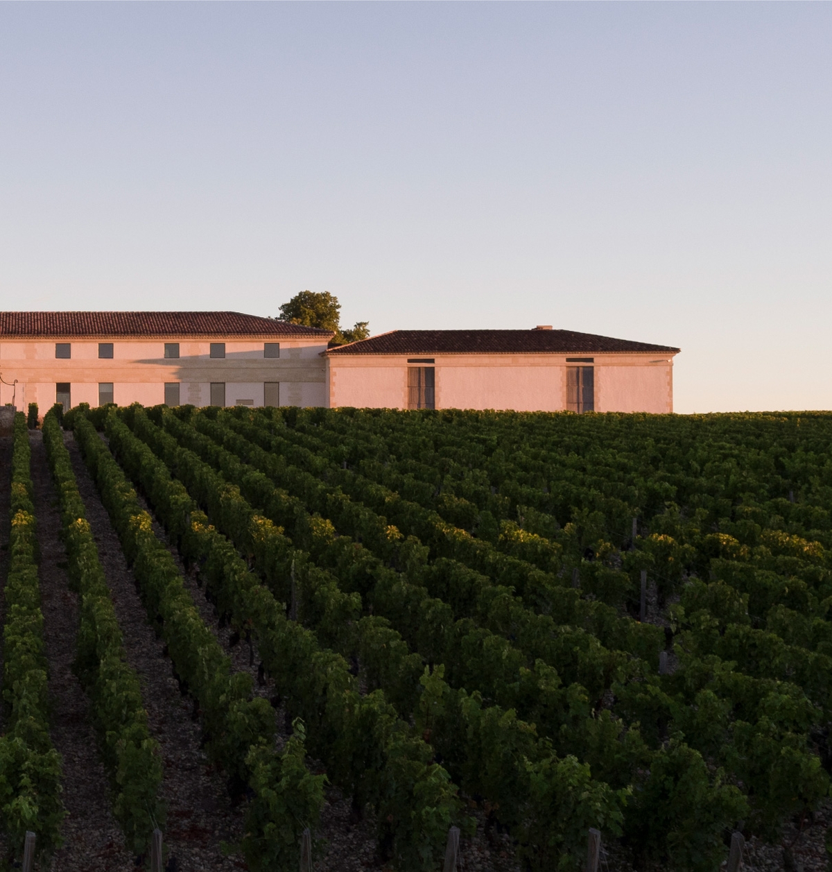 appellations