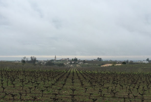 View over a field
