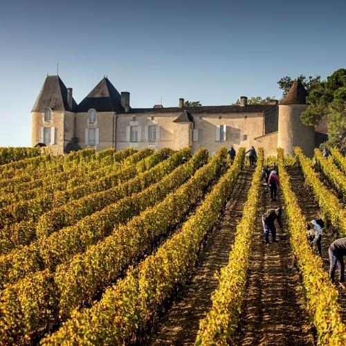chateau and fields