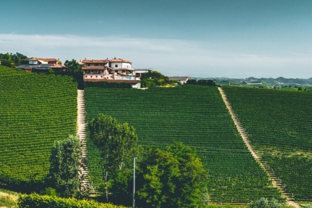 Italy region in a sunset