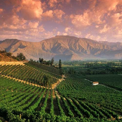 Mountain view at sunset