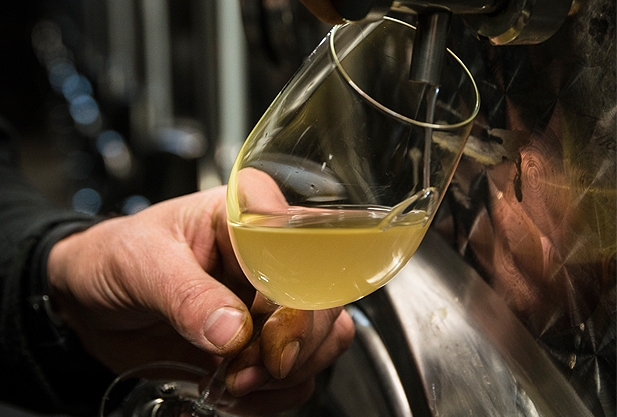 Glass of wine