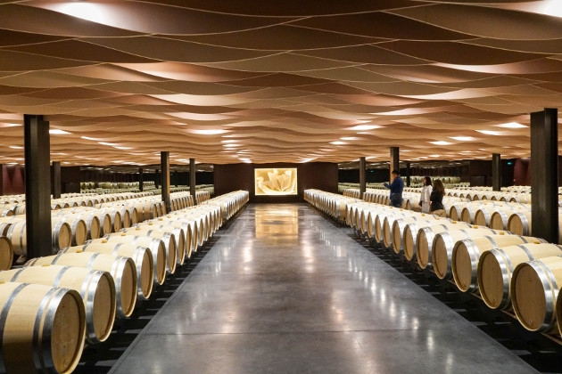 Bordeaux region