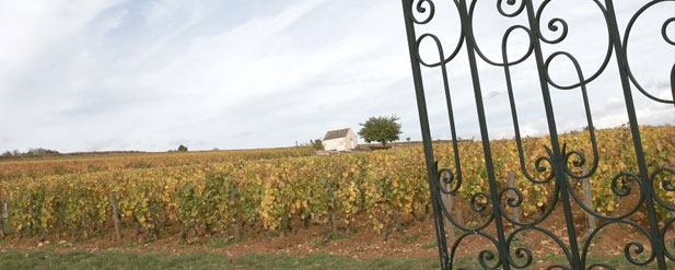 Field
