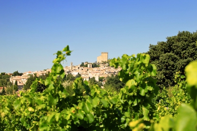 Village in the Rhone hills