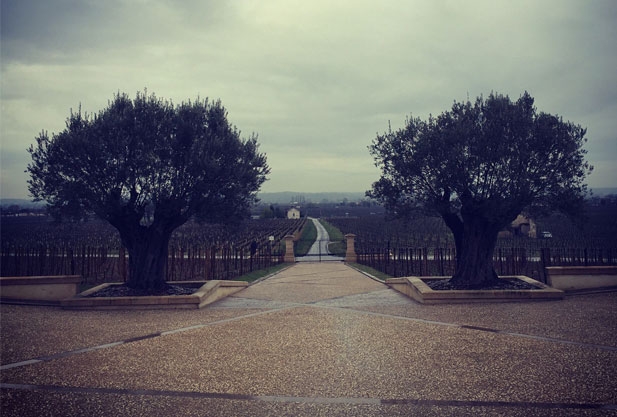 Gates with trees