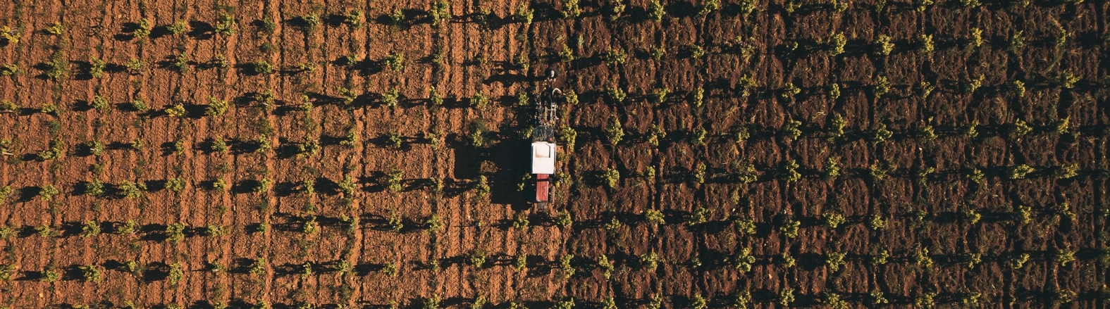 Field and machinery
