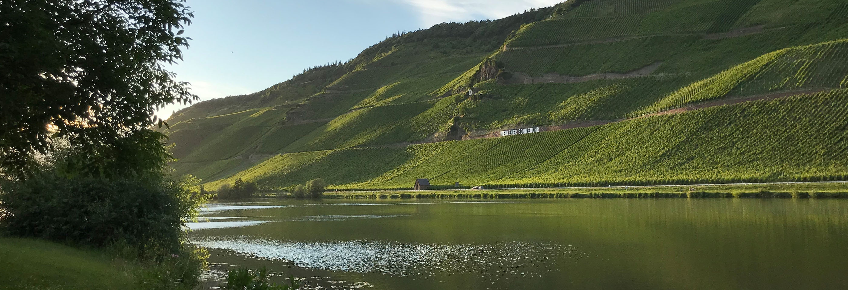 German wine vineyard on a hill