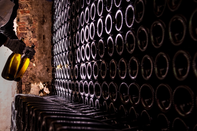 wall full of stacked wine bottles 