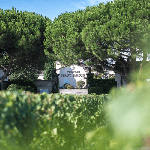 chateau haut brion