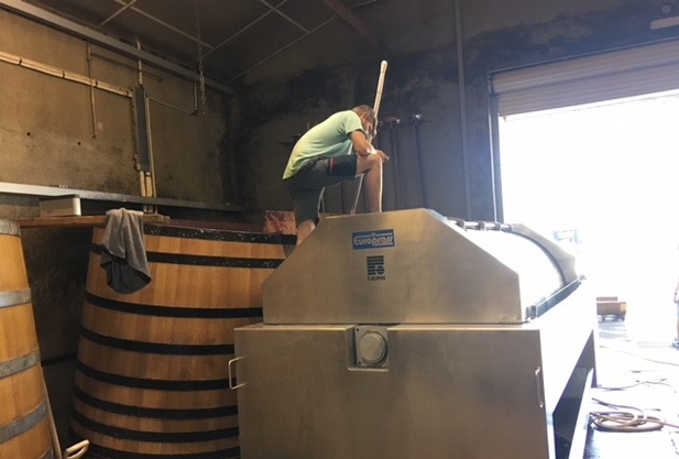 A man stomping grapes