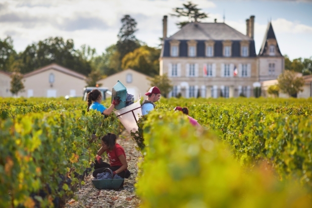 People working in vineyard outside big building