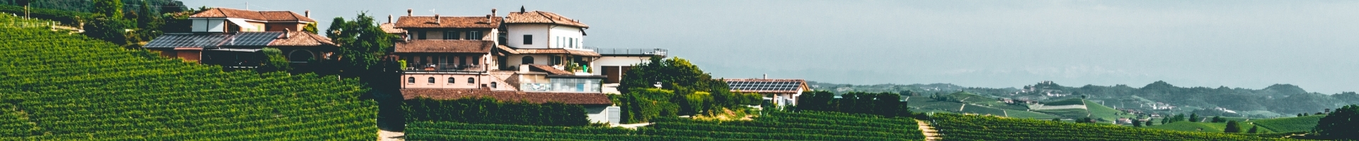 Chateau in a vinyard