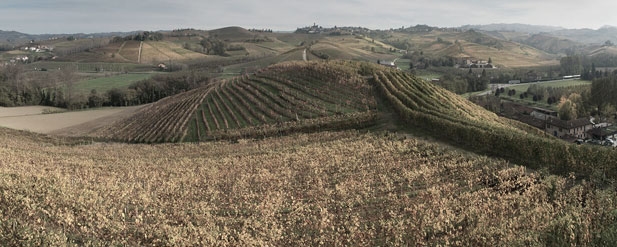 fields