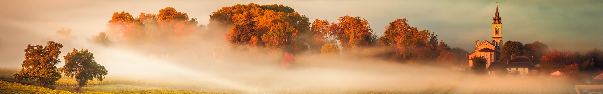 EN PRIMEUR BORDEAUX background image