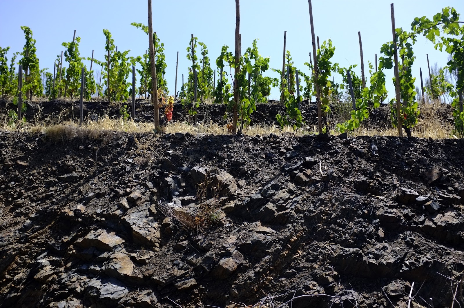 soil underground