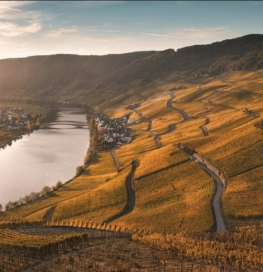 valley landscape