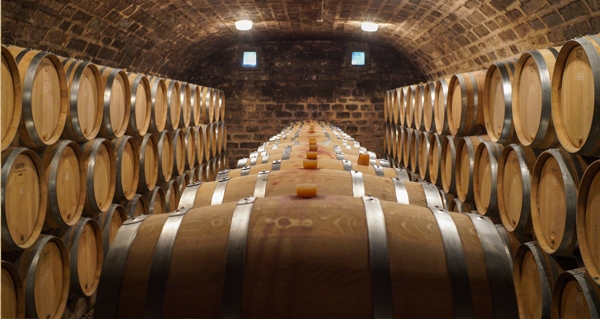 barrels of wine