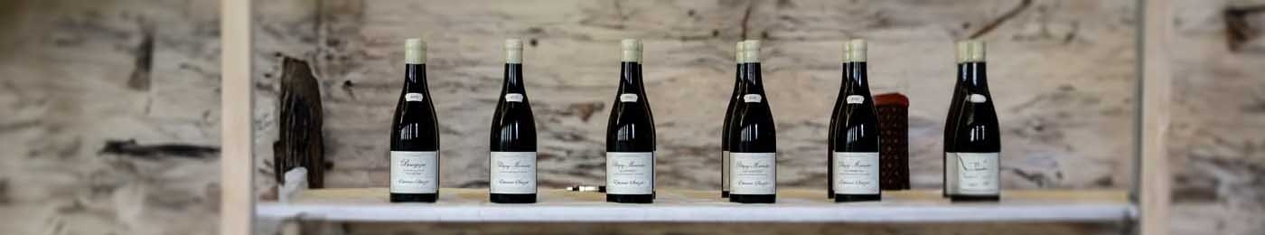 A line of bottles of white wine