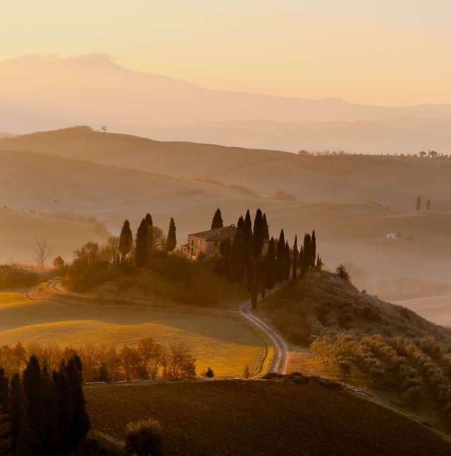 Landscape at sunset
