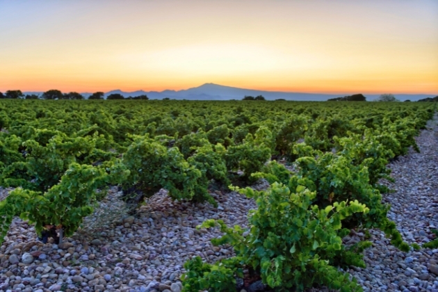 Rhone 2
