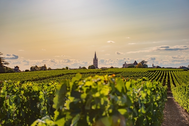 Bordeaux region