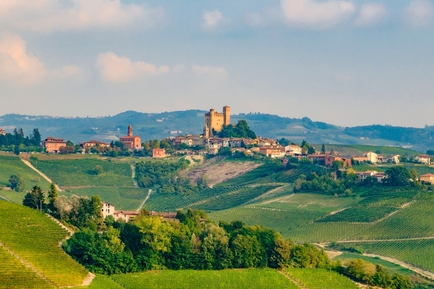 Landscape view of a vineyard Italy region