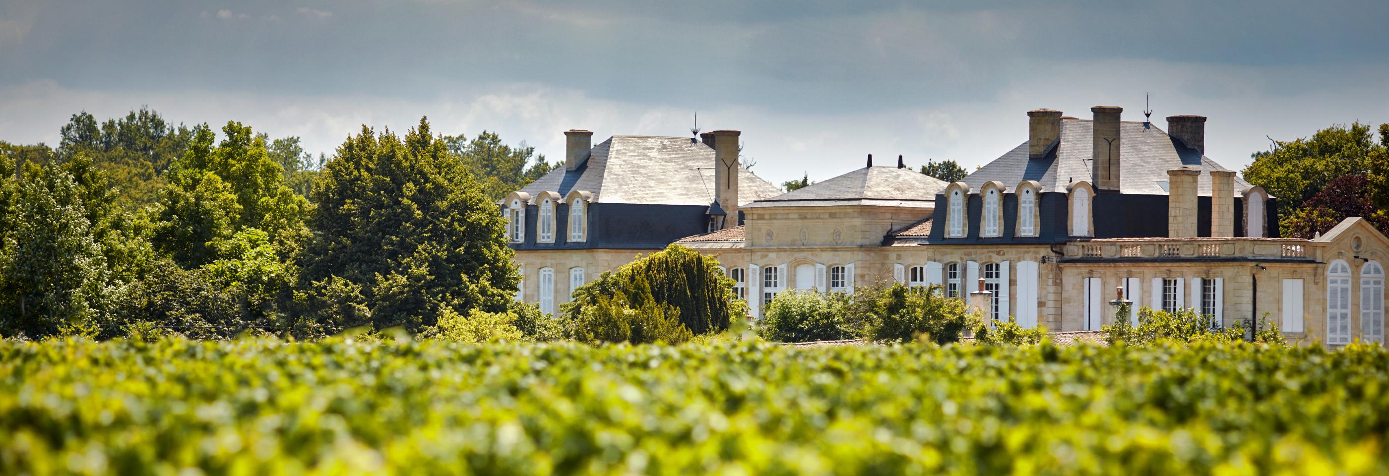 Chateau Langoa in a vineyard