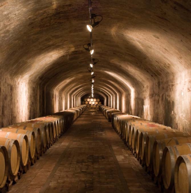 wine barrels in a dark storage room