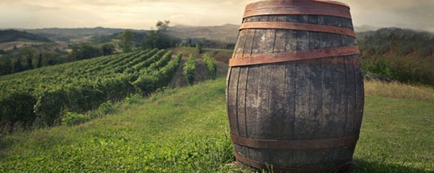 barrel in the middle of a vineyard