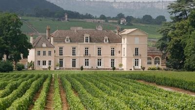 mansion behind a vineyard with greenery in the background