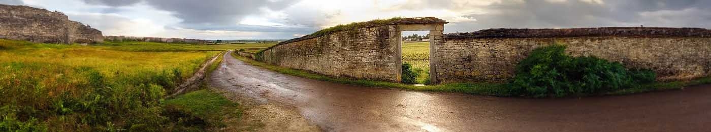 wall, field and road