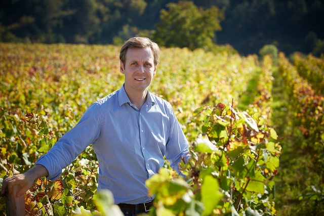 man standing in a vineyard with a blue shirt on