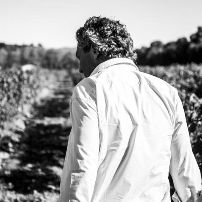black and white, man in a white shirt facing away from camera in a vineyard