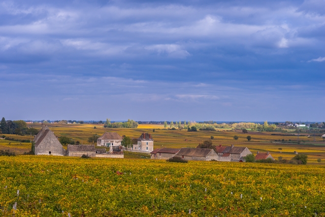 Country houses in fields in the french village of Puligny