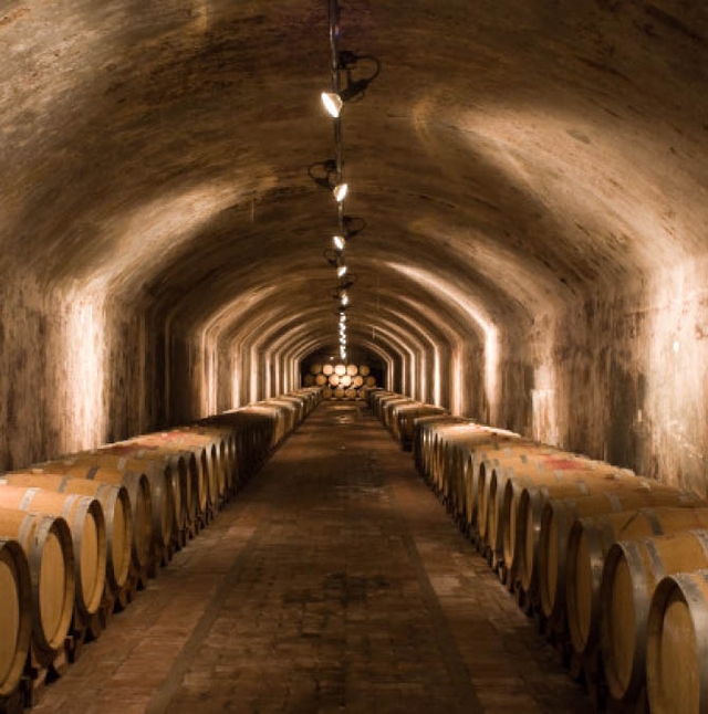 storage room of wine barrels