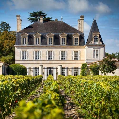 Estate in a vineyard in Bordeaux
