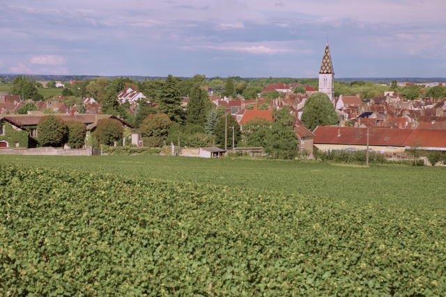 A village of huge diversity. In the right hands, these can be some of Burgundy's most satisfying wines