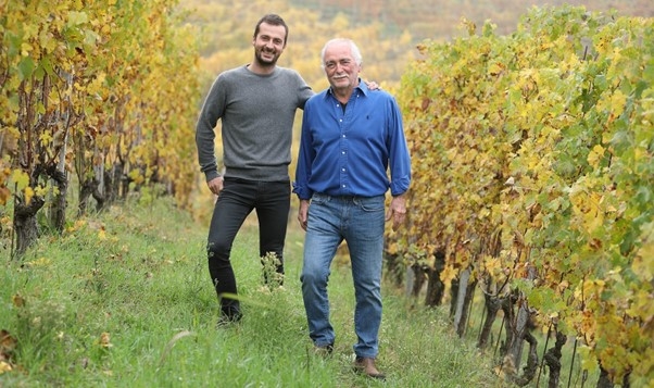 Two men standing in a vineyard